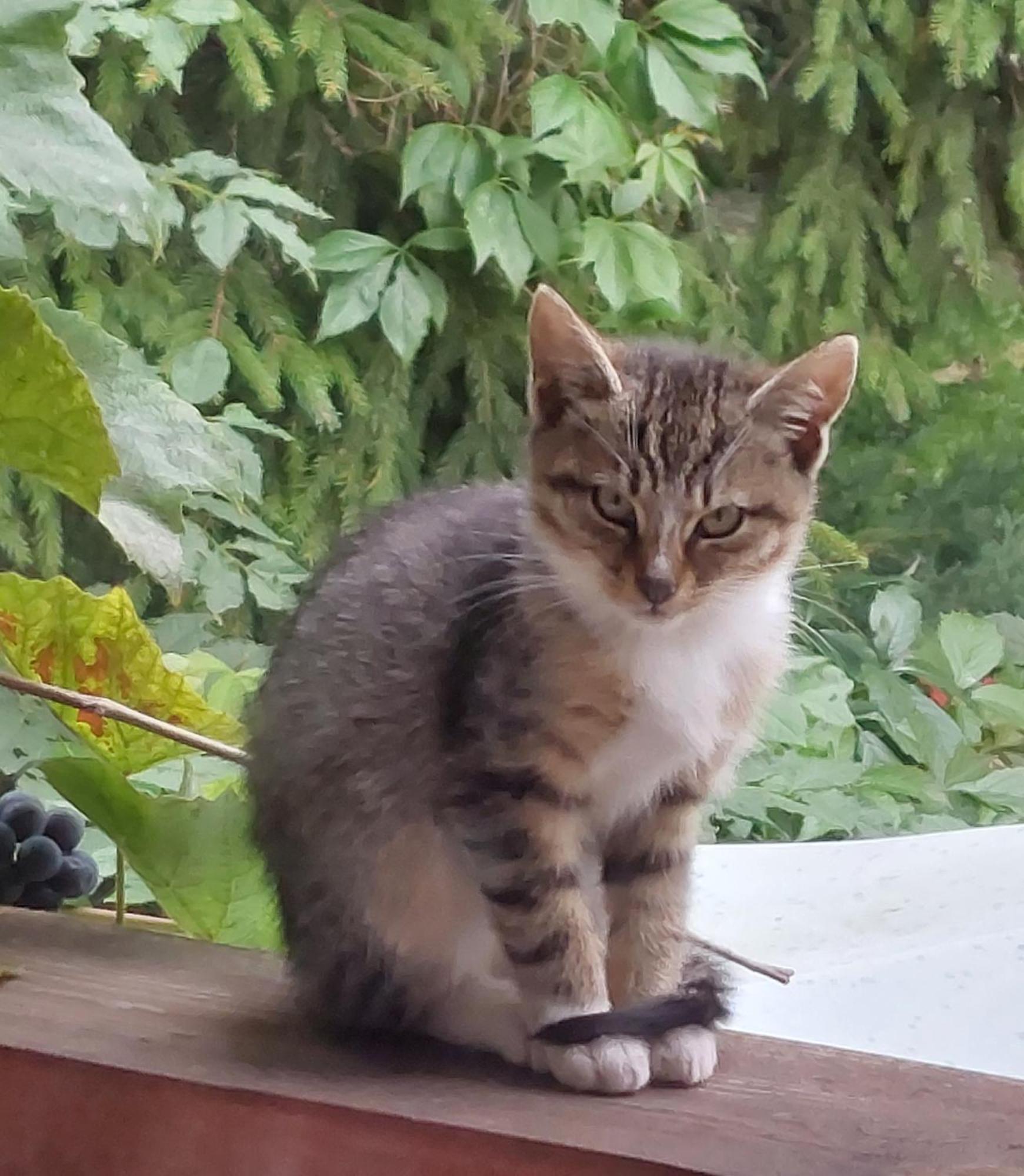 Ubytování v soukromí Zakatek Nad Jeziorem